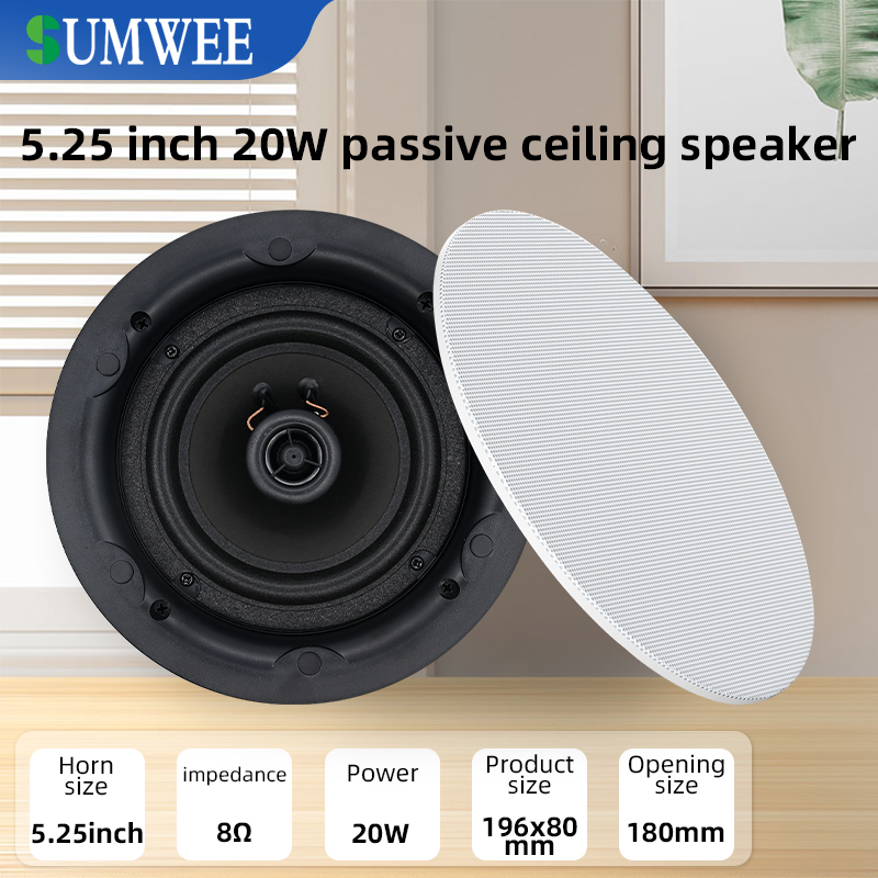 Audio Music Background Free - 5.25 inch 8 ohm Ceiling Speaker