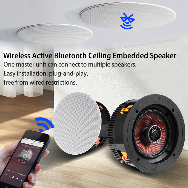 5.25 Inch Wireless In-Ceiling  - Audio Music Background Free ulasan dan harga