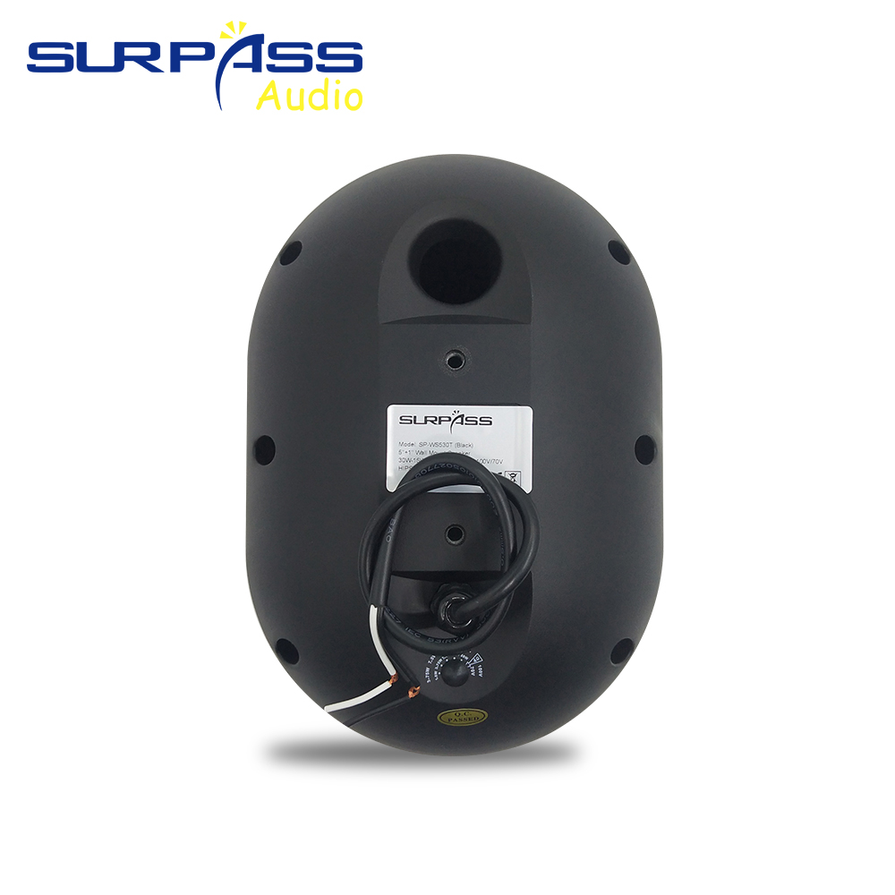 30W Wall-mounted Speaker Water - Audio Music Background Free ulasan dan harga