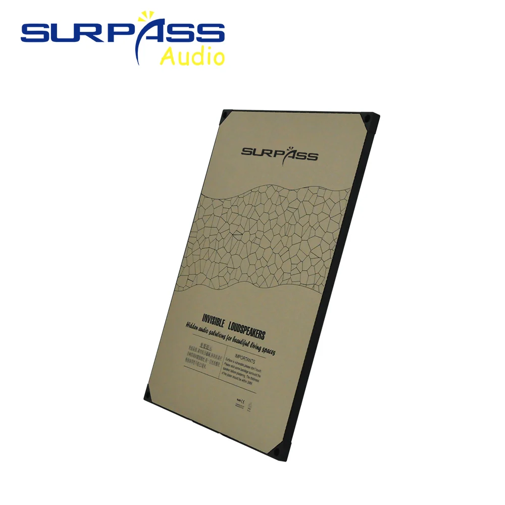 20W Invisible Indoor Speaker R - Audio Music Background Free ulasan dan harga
